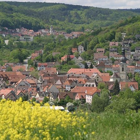 Ferienwohnung Haas Lauda-Königshofen Exterior foto